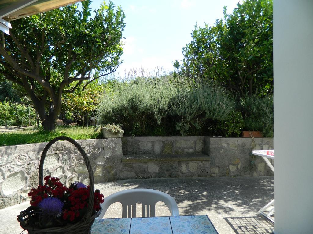 Апартаменты Casa Ischia Форио Номер фото
