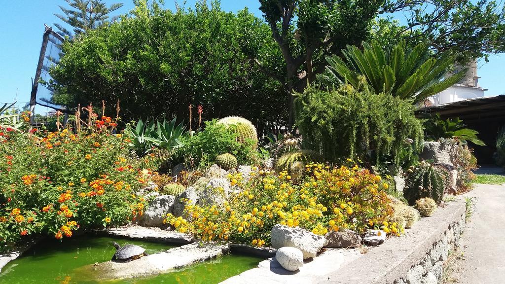 Апартаменты Casa Ischia Форио Экстерьер фото
